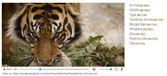 9 hechos que demuestran que el contenido en video es cada vez mas importante para las SERP 4 Screen22