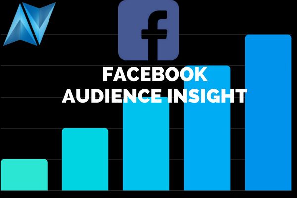 5 Herramientas para conocer mejor a nuestra audiencia en Instagram y Facebook 1 Facebook Audience Insight