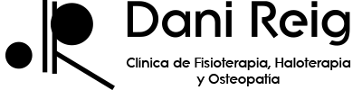 danireig logo 1